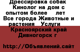 Дрессировка собак (Кинолог на дом с опытом более 10 лет) - Все города Животные и растения » Услуги   . Красноярский край,Дивногорск г.